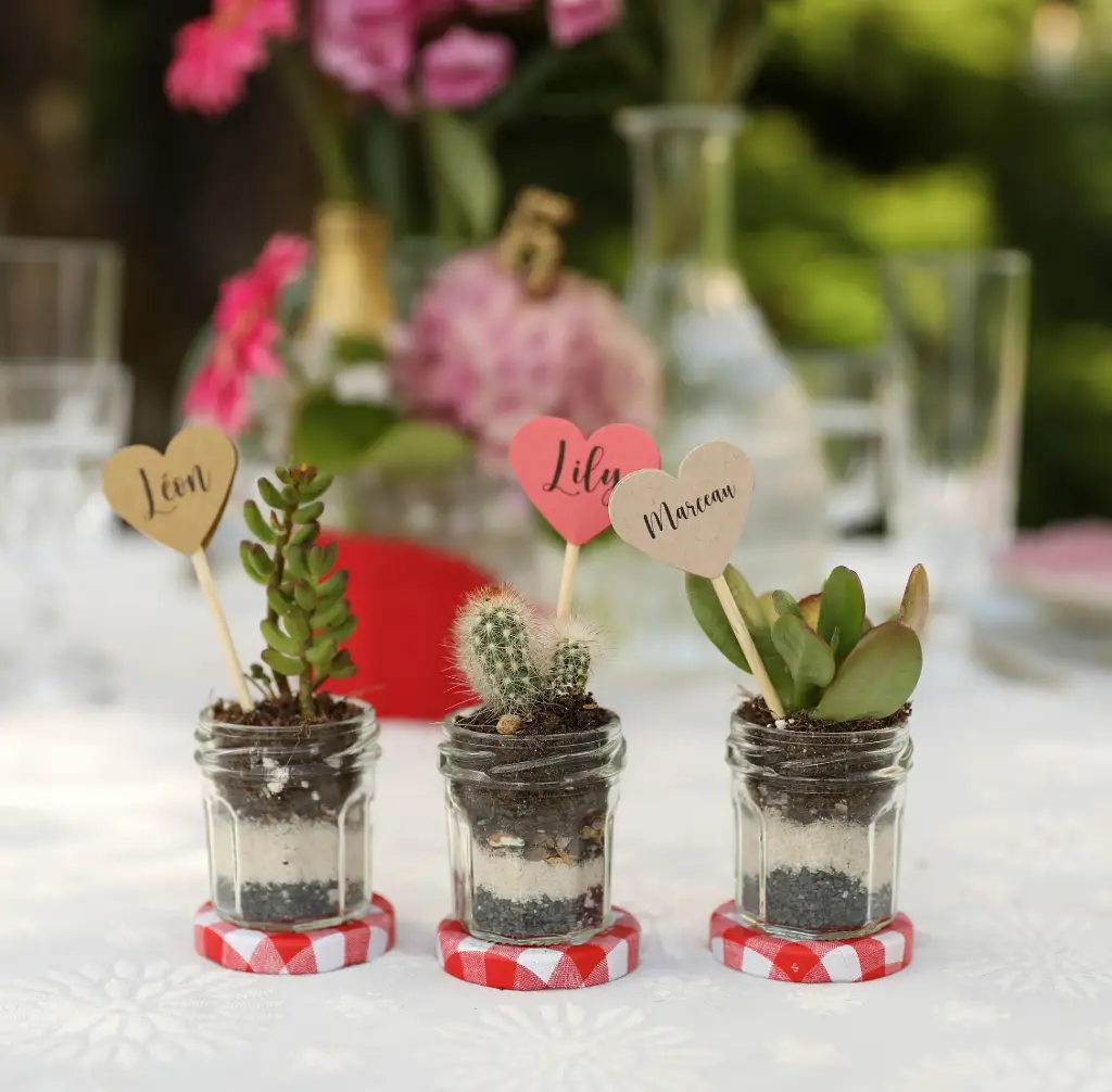 Cadeaux invités “Ma petite plante”