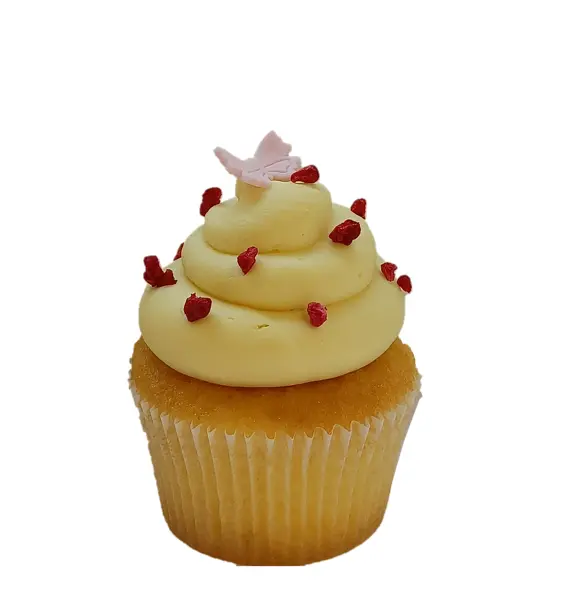Big Flour-Free Lemon – Raspberry
