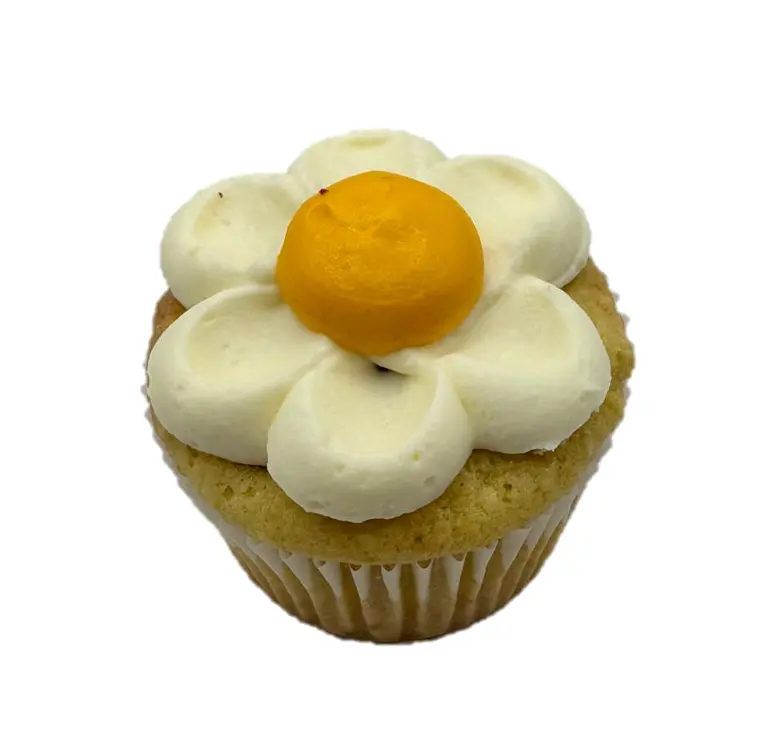 Grand sans farine Citron – Framboise