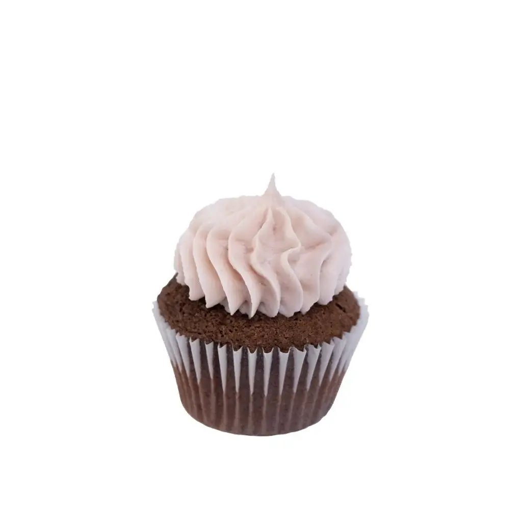 Mini Chocolat Framboise 