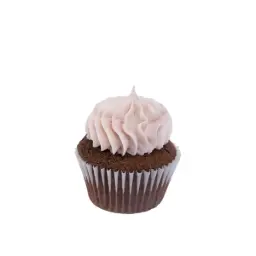 Mini Chocolate Raspberry 