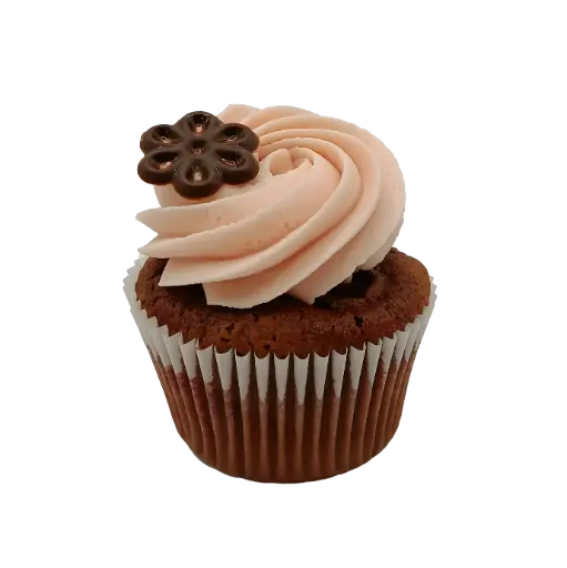 [FC4003] Grand chocolat framboise 